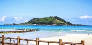 Tất tần tật kinh nghiệm du lịch đảo Udo Hàn Quốc